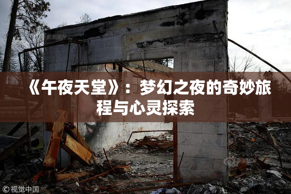 《午夜天堂》：梦幻之夜的奇妙旅程与心灵探索