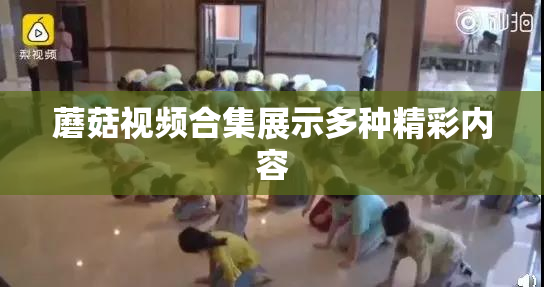 蘑菇视频合集展示多种精彩内容