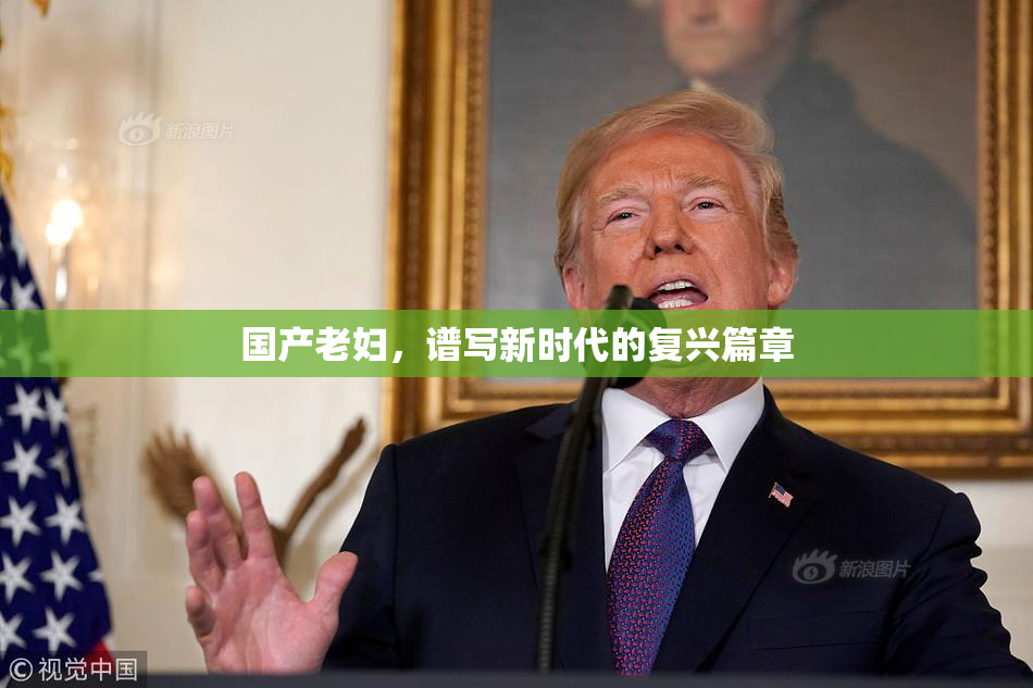 国产老妇，谱写新时代的复兴篇章