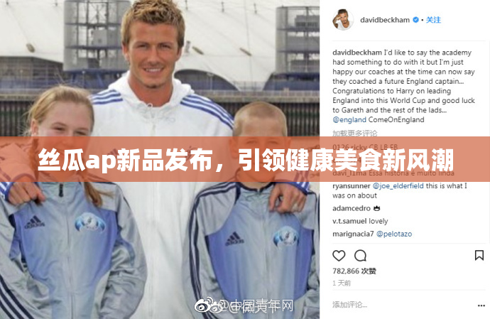 丝瓜ap新品发布，引领健康美食新风潮