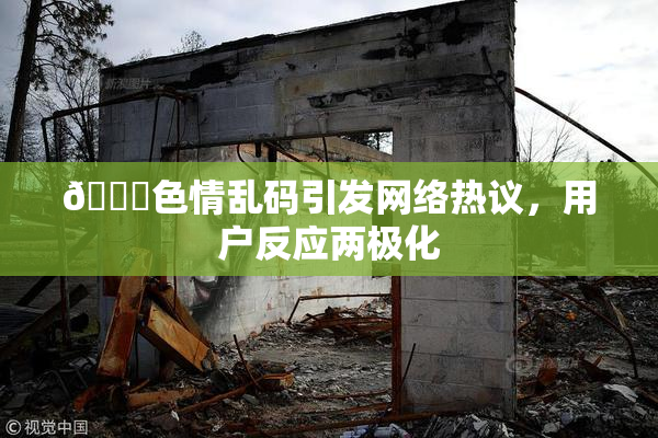 🔞色情乱码引发网络热议，用户反应两极化