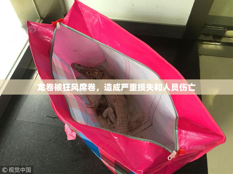 龙卷被狂风席卷，造成严重损失和人员伤亡