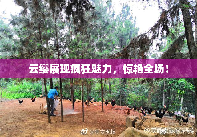 云缨展现疯狂魅力，惊艳全场！