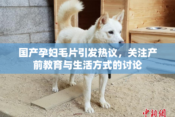 国产孕妇毛片引发热议，关注产前教育与生活方式的讨论