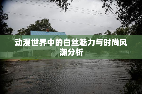 动漫世界中的白丝魅力与时尚风潮分析