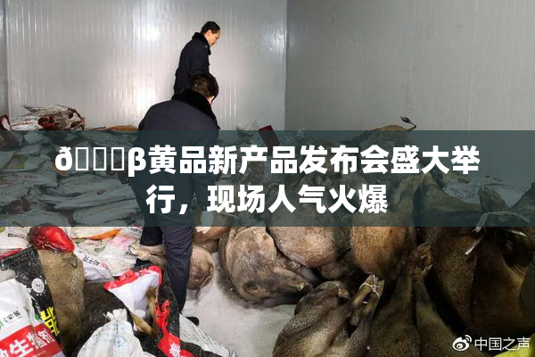 🔞β黄品新产品发布会盛大举行，现场人气火爆