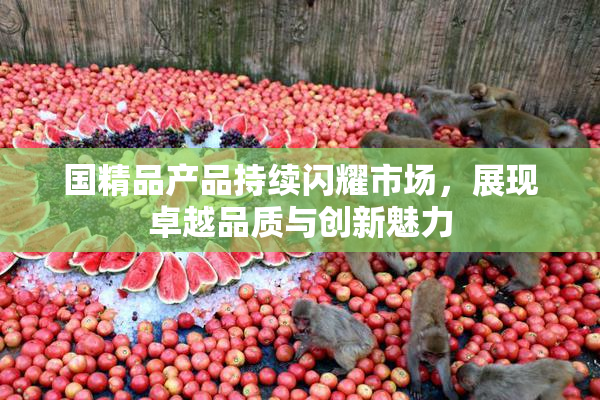 国精品产品持续闪耀市场，展现卓越品质与创新魅力