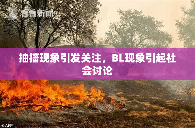 抽搐现象引发关注，BL现象引起社会讨论