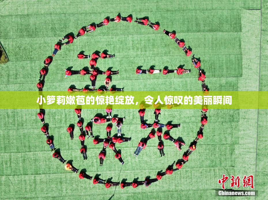 小箩莉嫩苞的惊艳绽放，令人惊叹的美丽瞬间