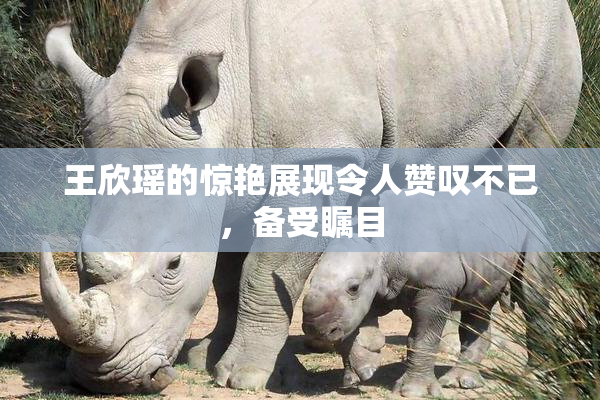 王欣瑶的惊艳展现令人赞叹不已，备受瞩目