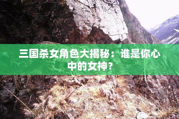三国杀女角色大揭秘：谁是你心中的女神？