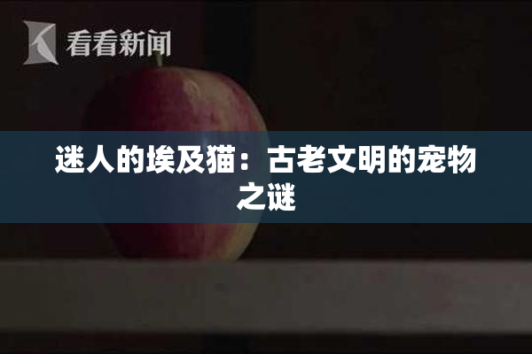 迷人的埃及猫：古老文明的宠物之谜