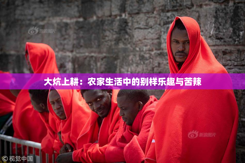 大炕上耕：农家生活中的别样乐趣与苦辣
