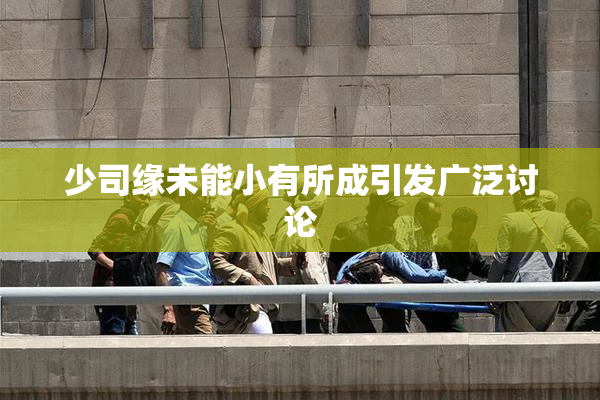 少司缘未能小有所成引发广泛讨论
