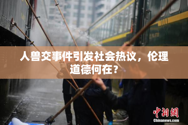 人兽交事件引发社会热议，伦理道德何在？