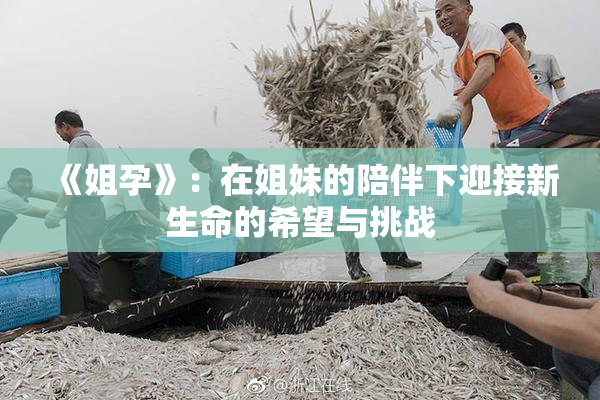 《姐孕》：在姐妹的陪伴下迎接新生命的希望与挑战