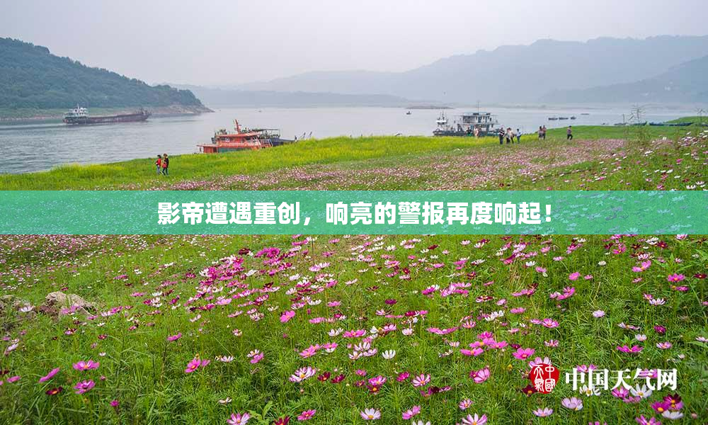 影帝遭遇重创，响亮的警报再度响起！