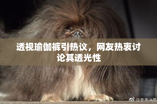 透视瑜伽裤引热议，网友热衷讨论其透光性