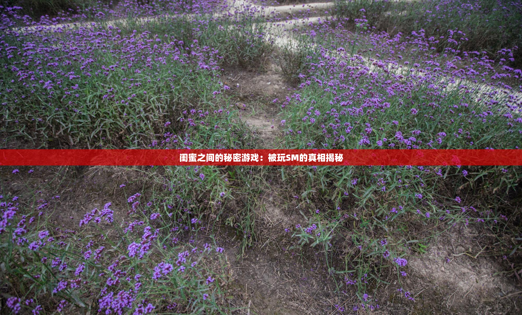 闺蜜之间的秘密游戏：被玩SM的真相揭秘
