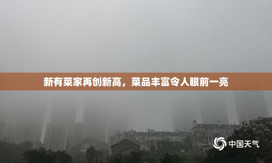 新有菜家再创新高，菜品丰富令人眼前一亮