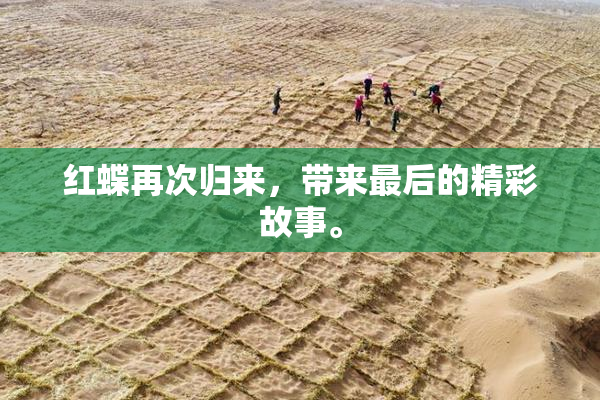 红蝶再次归来，带来最后的精彩故事。