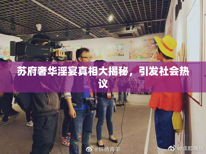 苏府奢华淫宴真相大揭秘，引发社会热议
