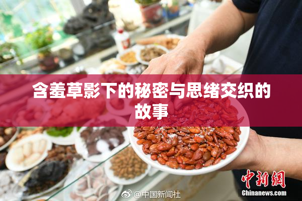 含羞草影下的秘密与思绪交织的故事