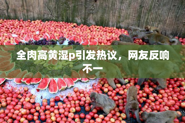 全肉高黄湿p引发热议，网友反响不一