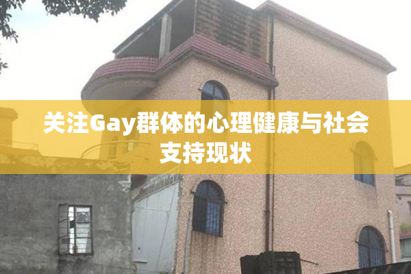 关注Gay群体的心理健康与社会支持现状