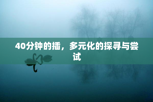 40分钟的插，多元化的探寻与尝试