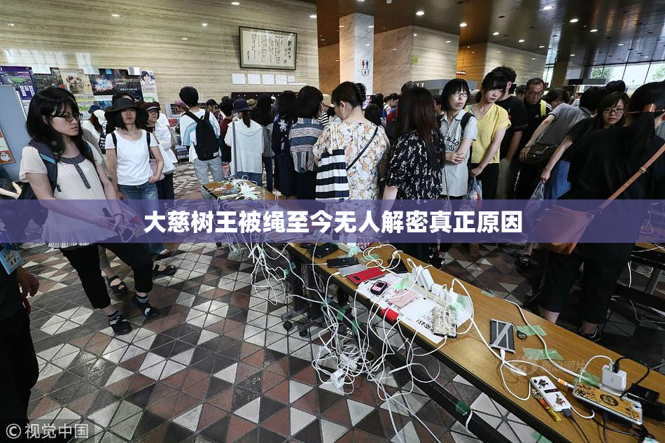 大慈树王被绳至今无人解密真正原因