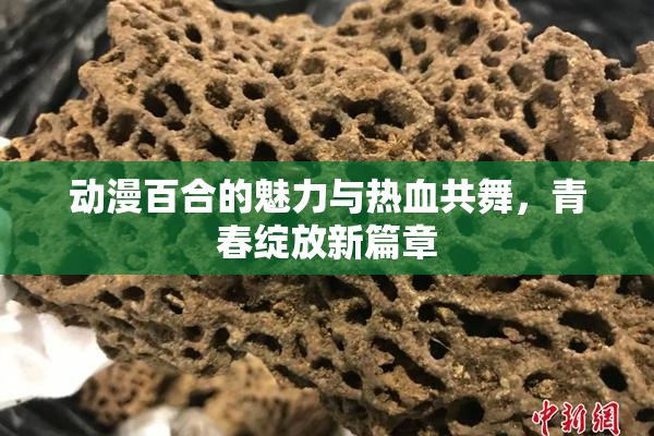 动漫百合的魅力与热血共舞，青春绽放新篇章