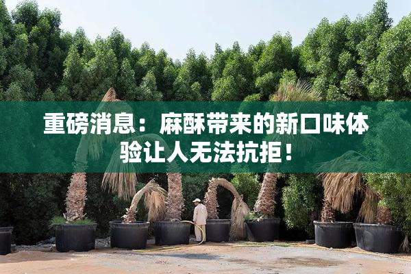 重磅消息：麻酥带来的新口味体验让人无法抗拒！