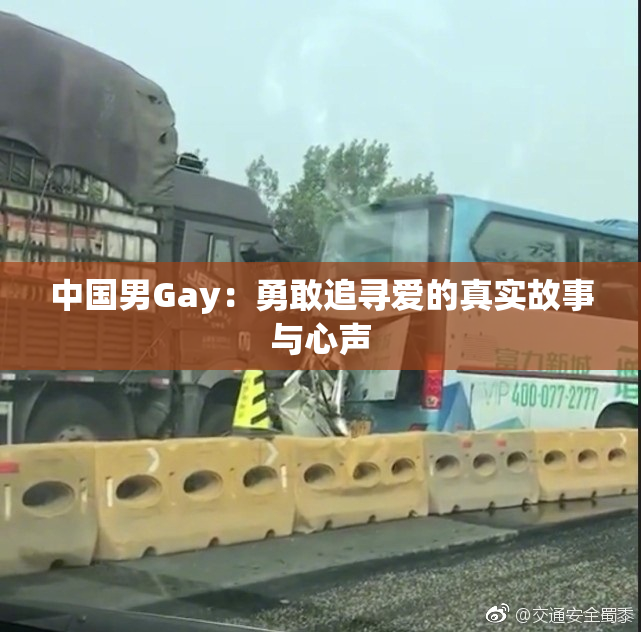 中国男Gay：勇敢追寻爱的真实故事与心声