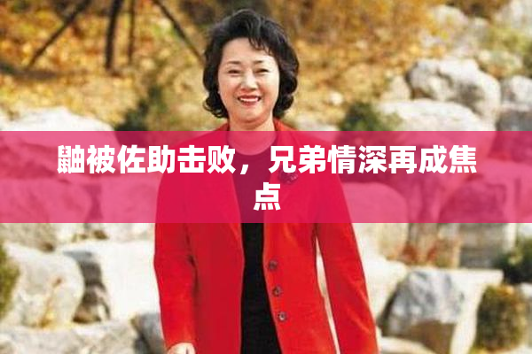 鼬被佐助击败，兄弟情深再成焦点