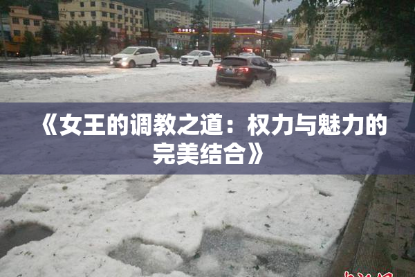 《女王的调教之道：权力与魅力的完美结合》