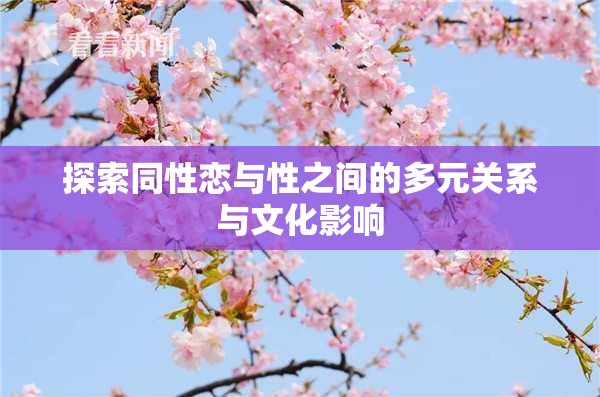 探索同性恋与性之间的多元关系与文化影响