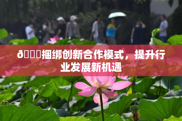 🔞捆绑创新合作模式，提升行业发展新机遇