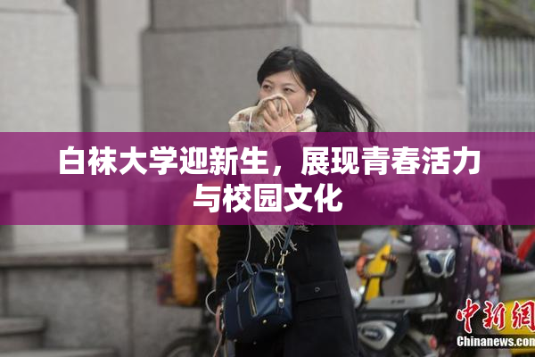 白袜大学迎新生，展现青春活力与校园文化