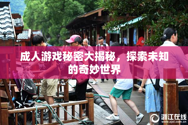 成人游戏秘密大揭秘，探索未知的奇妙世界