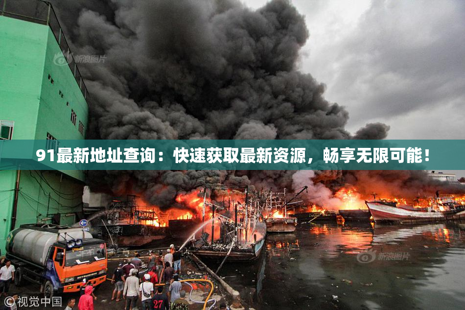 91最新地址查询：快速获取最新资源，畅享无限可能！
