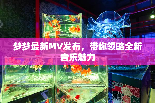 梦梦最新MV发布，带你领略全新音乐魅力