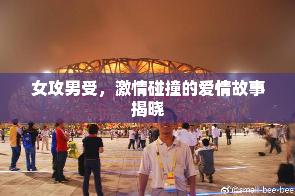女攻男受，激情碰撞的爱情故事揭晓