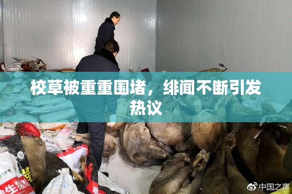 校草被重重围堵，绯闻不断引发热议