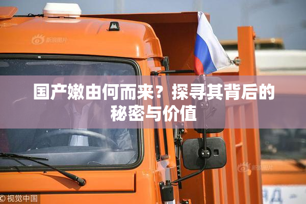 国产嫩由何而来？探寻其背后的秘密与价值