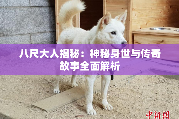 八尺大人揭秘：神秘身世与传奇故事全面解析