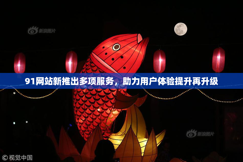 91网站新推出多项服务，助力用户体验提升再升级