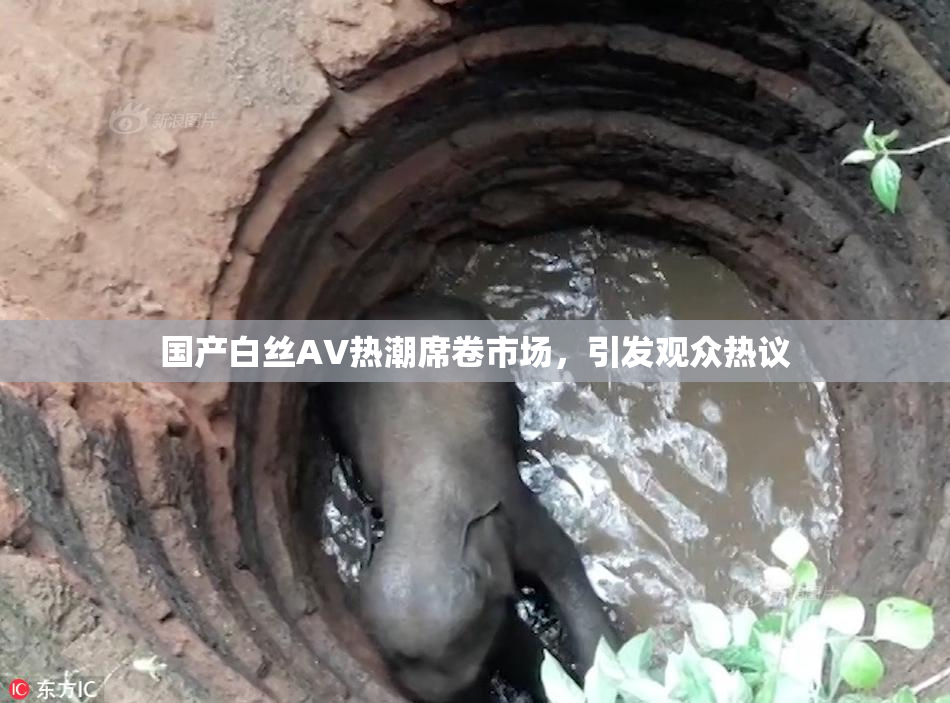国产白丝AV热潮席卷市场，引发观众热议