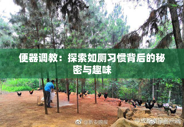 便器调教：探索如厕习惯背后的秘密与趣味