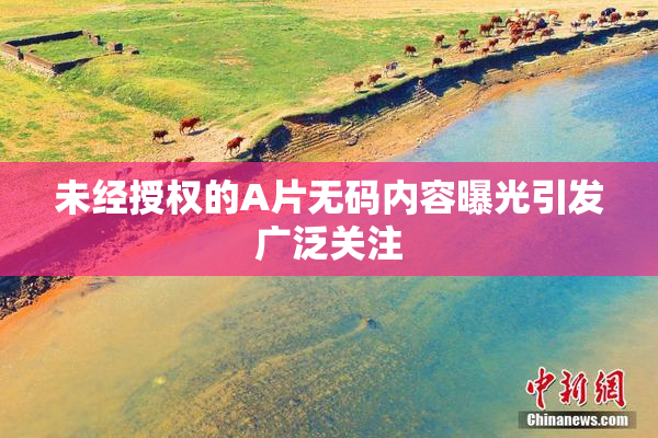 未经授权的A片无码内容曝光引发广泛关注